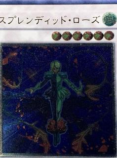 Splendid Rose TSHD-JP043