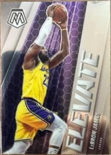 LeBron James Silver