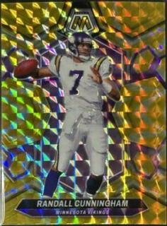 Randall Cunningham