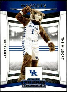 The Wildcat
