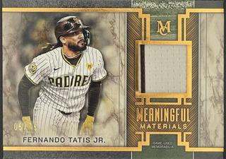 Fernando Tatis Jr.
