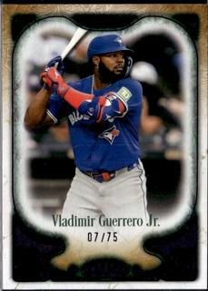 Vladimir Guerrero Jr.