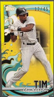 Tim Anderson