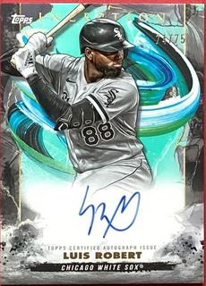 Luis Robert