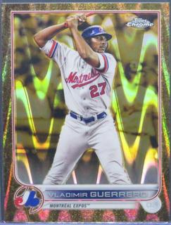 Vladimir Guerrero