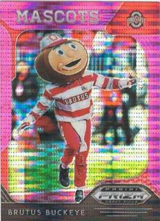 Brutus Buckeye