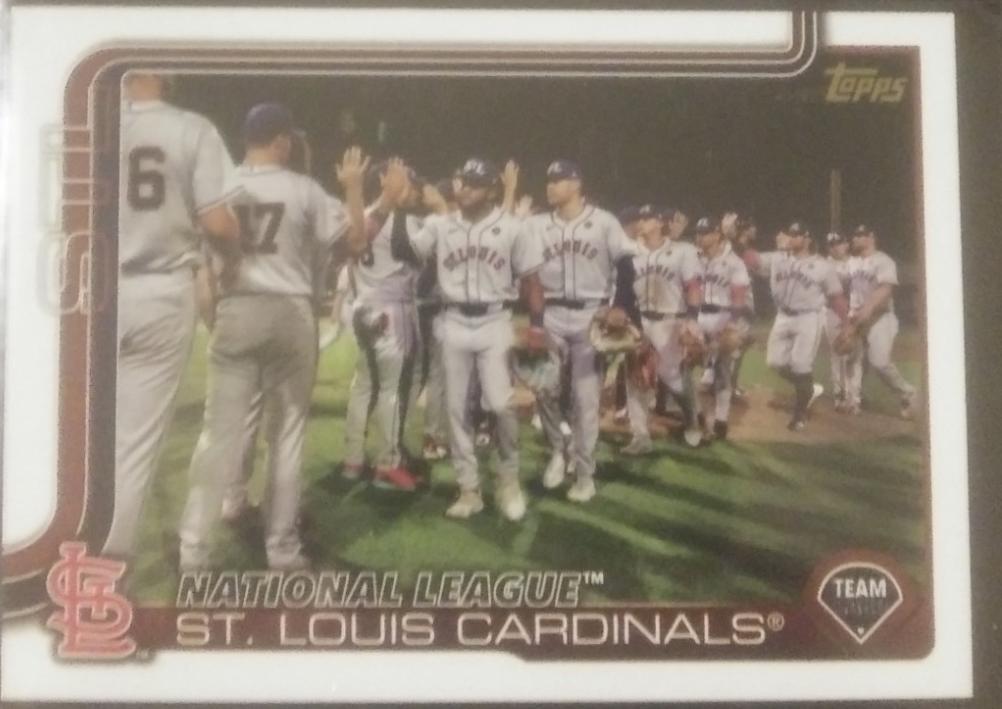 St. Louis Cardinals [Golden Mirror Image Variation] #461