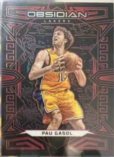 Pau Gasol