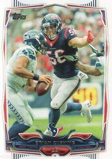 Brian Cushing