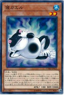 Centerfrog CYHO-JP025