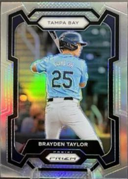 Brayden Taylor [Silver] #190