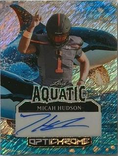 Micah Hudson