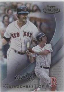 Carl Yastrzemski