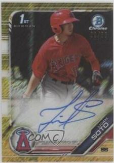 Livan Soto