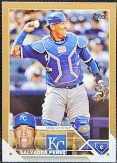 Salvador Perez