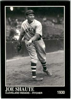 Joe Shaute