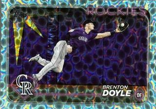 Brenton Doyle