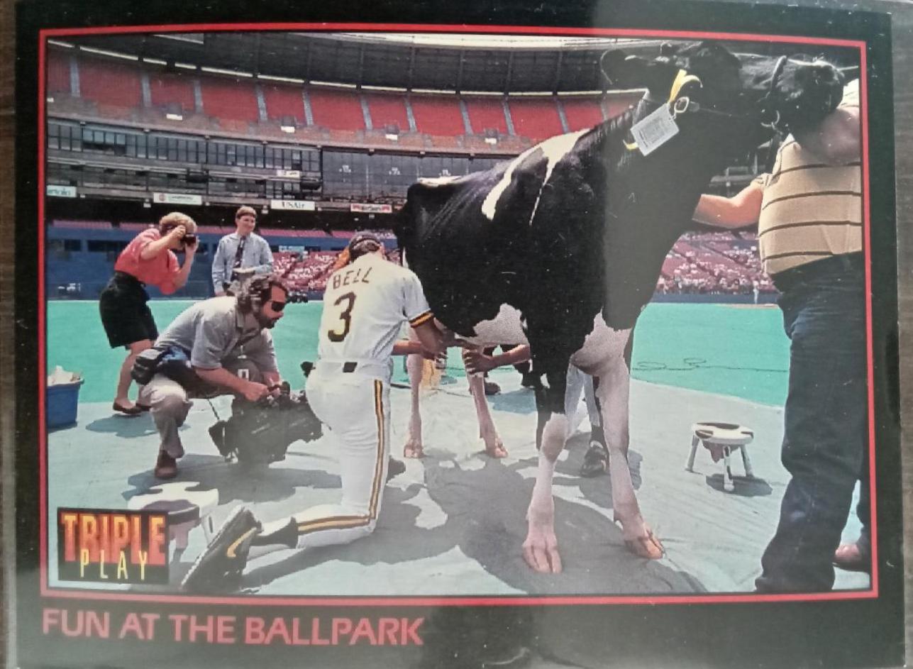 Fun At The Ballpark #261 1993 Donruss Triple Play Baseball