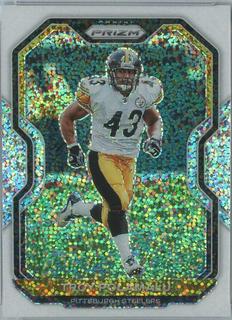 Troy Polamalu