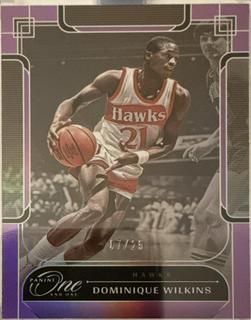 Dominique Wilkins