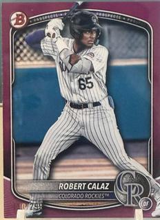 Robert Calaz