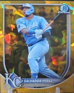 Salvador Perez