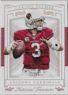 Carson Palmer