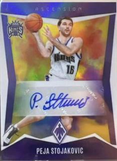 Peja Stojakovic