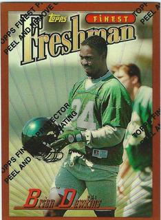 Brian Dawkins