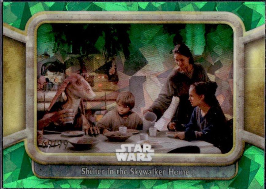Shelter in the Skywalker Home [Green] #36