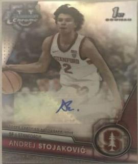 Andrej Stojakovic