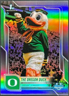 The Oregon Duck