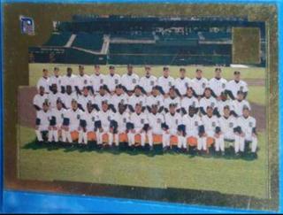 Detroit Tigers