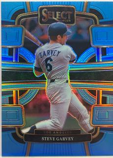 Steve Garvey