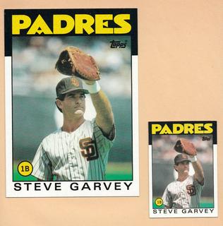 Steve Garvey