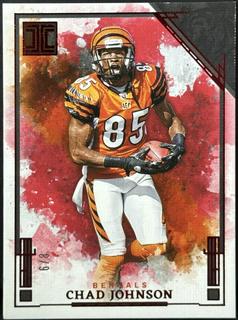 Chad Johnson