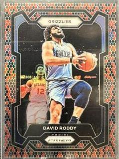 David Roddy