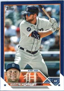 Austin Meadows