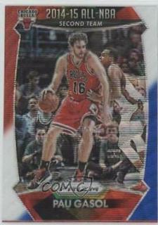 Pau Gasol
