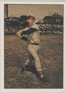Ted Williams