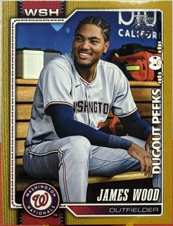 James Wood