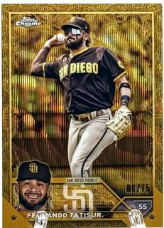 Fernando Tatis Jr.