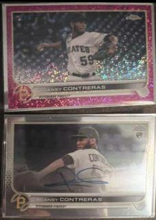 Roansy Contreras