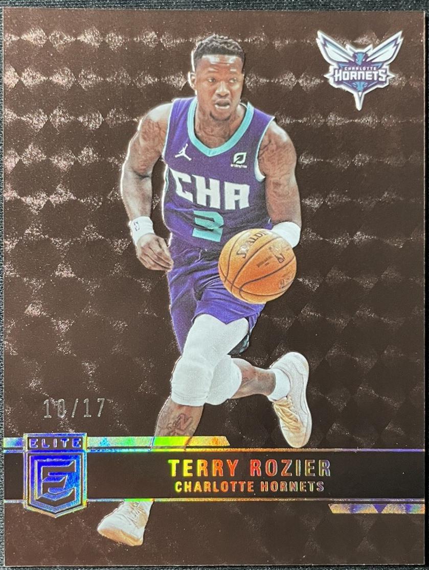Terry Rozier [Bronze] #166