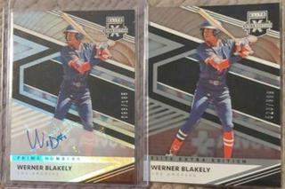 Werner Blakely