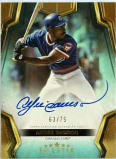 Andre Dawson