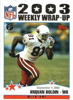 Anquan Boldin