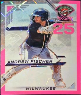 Andrew Fischer
