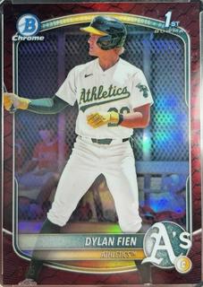 Dylan Fien