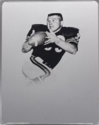 Mike Ditka